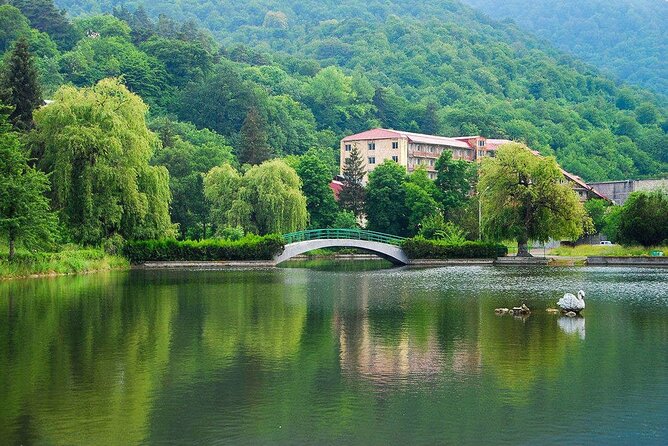 Lake Sevan & Dilijan Guided Day Trip with Ijevan Wine Tour - Haghartsin Monastery among the trees