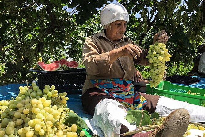 Private tour to Khor Virap, Ararat view - Timing, comfort, and the small practical details