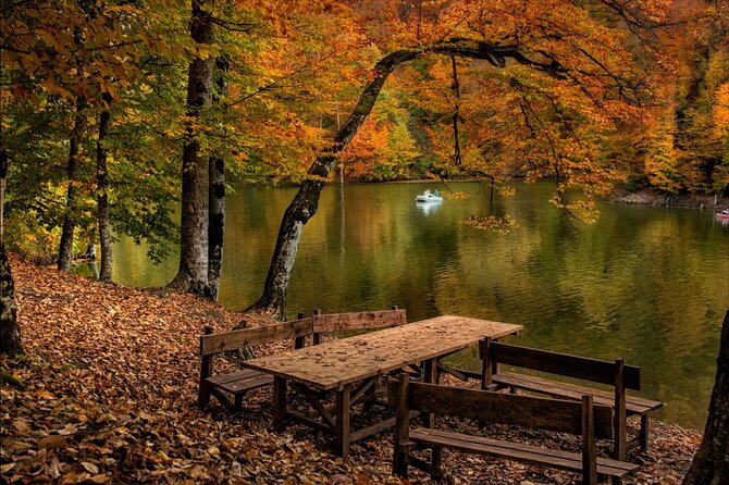 Private Tour to Sevan, Haghartsin, Lake Parz & Deer Farm - Haghartsin: forest, stone, and a memorable setting