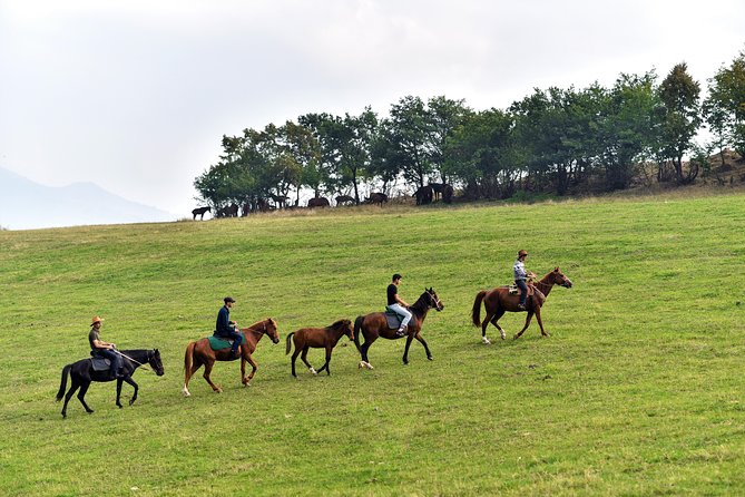 Scenic Trail Rides - Key points to know before you book