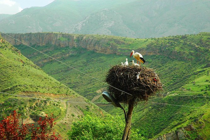 The Great Beauty of Armenia: 7-Day Culture and Cuisine Tour - Vernissage, dried fruit, and the final shopping stop
