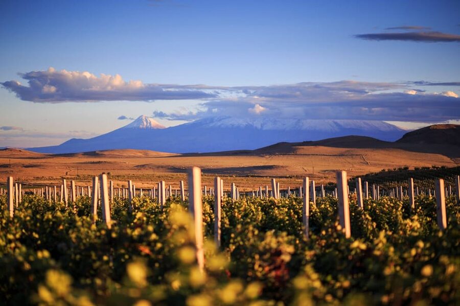 Yerevan: Khor Virap Day Trip with Mount Ararat Wine Tasting - Key points to know before booking