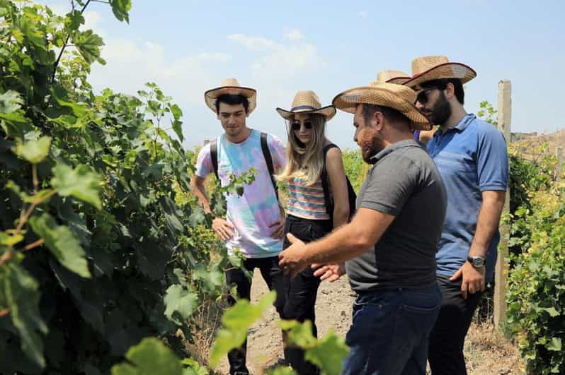 Yerevan: Khor Virap Day Trip with Mount Ararat Wine Tasting - Why this five-hour outing works