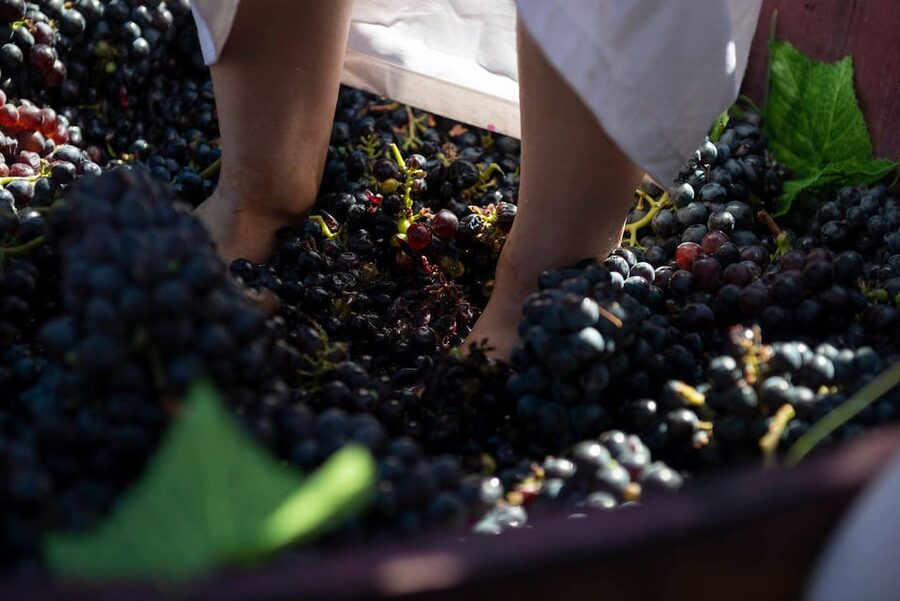 Yerevan: Khor Virap Day Trip with Mount Ararat Wine Tasting - What the guide adds to the monastery visit