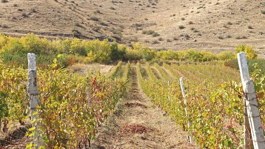 Yerevan: Khor Virap Day Trip with Mount Ararat Wine Tasting - Is $156 good value?