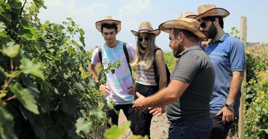 Yerevan: Khor Virap Day Trip with Mount Ararat Wine Tasting - Who should book this experience?